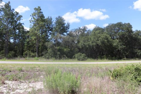 Land in Dunnellon, Florida № 2159549 - photo 2