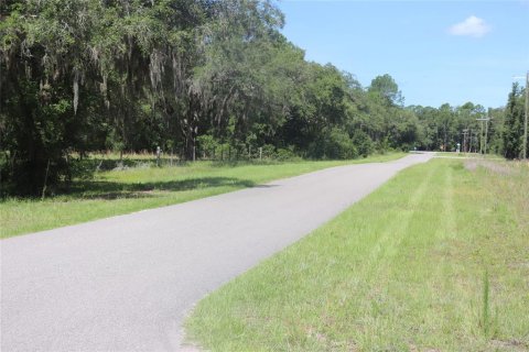 Land in Dunnellon, Florida № 2159549 - photo 6