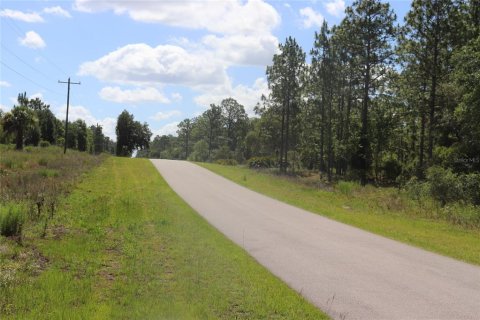 Land in Dunnellon, Florida № 2159549 - photo 5