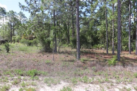 Land in Dunnellon, Florida № 2159549 - photo 3