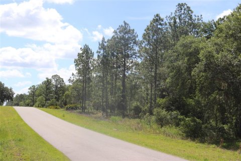Land in Dunnellon, Florida № 2159549