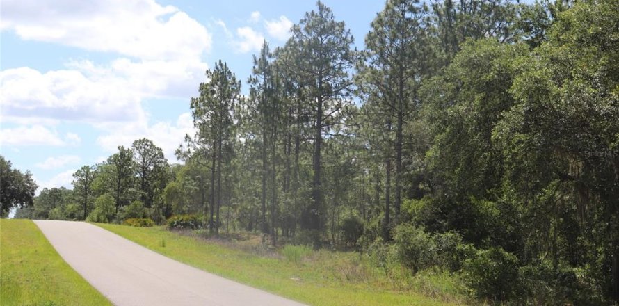 Land in Dunnellon, Florida № 2159549
