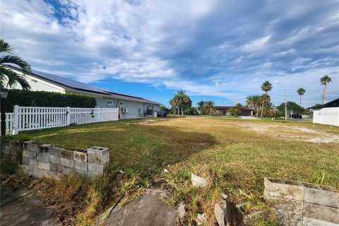 Terrain à vendre à New Port Richey, Floride № 2234270 - photo 4
