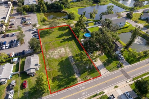 Land in Longwood, Florida № 1263835 - photo 4