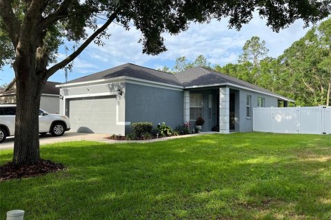 House in Fish Hawk, Florida 3 bedrooms, 125.33 sq.m. № 2304491