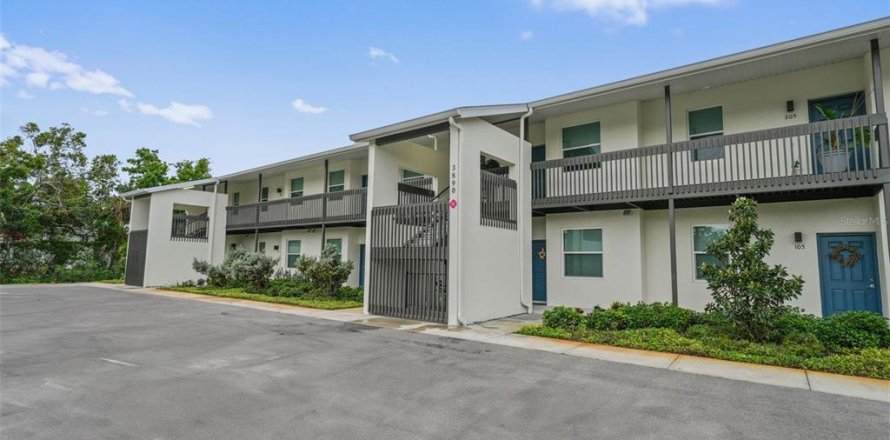 Condo in Saint Petersburg, Florida, 2 bedrooms  № 2267036