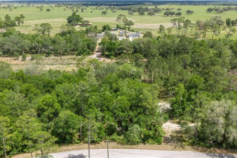 Land in Dunnellon, Florida № 2165948 - photo 2