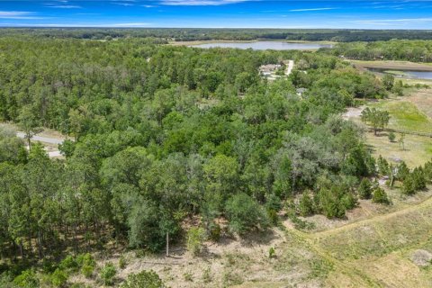 Land in Dunnellon, Florida № 2165948 - photo 6
