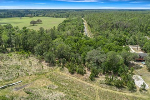 Land in Dunnellon, Florida № 2165948 - photo 4