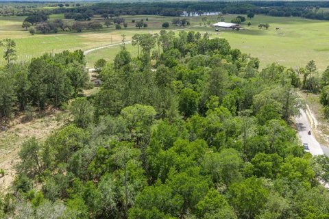 Land in Dunnellon, Florida № 2165948 - photo 3