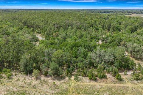Land in Dunnellon, Florida № 2165948 - photo 5