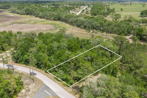 Land in Dunnellon, Florida № 2165948