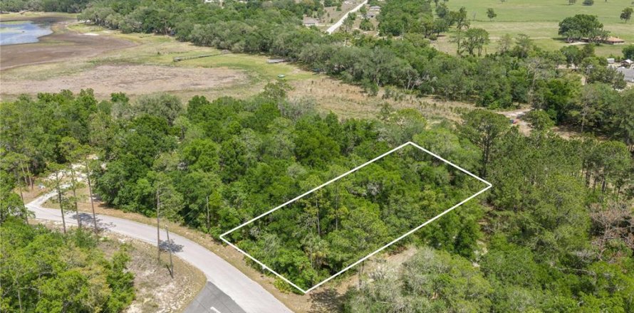 Land in Dunnellon, Florida № 2165948