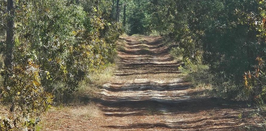 Land in Dunnellon, Florida № 2125202