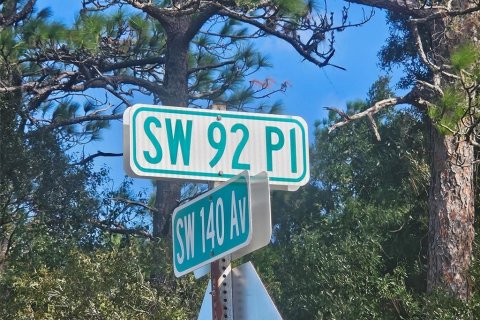 Land in Dunnellon, Florida № 2125202 - photo 2