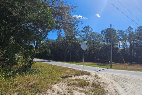 Land in Dunnellon, Florida № 2125202 - photo 4