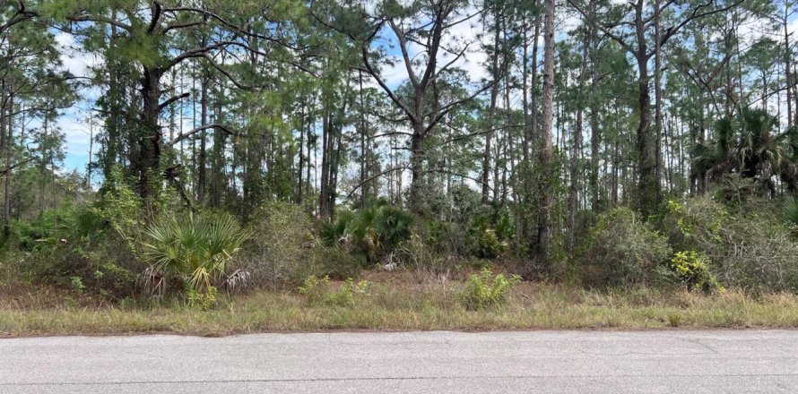 Commercial property in Lehigh Acres, Florida № 2402323