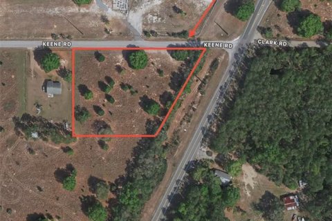 Land in Umatilla, Florida № 2351535