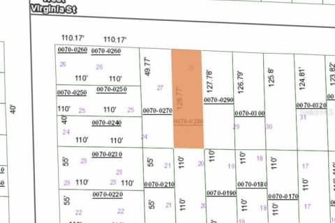 Land in Hawthorne, Florida № 2164935 - photo 3