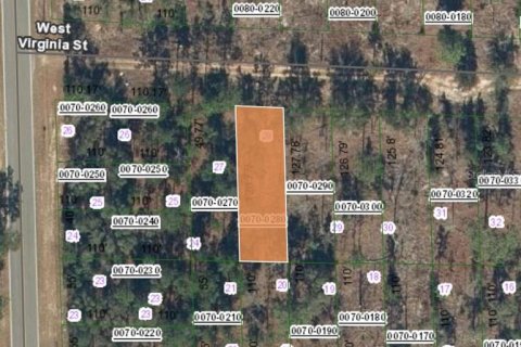 Land in Hawthorne, Florida № 2164935