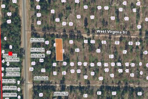 Land in Hawthorne, Florida № 2164935 - photo 2