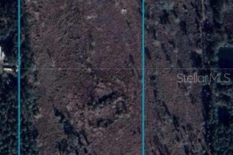 Land in Citra, Florida № 1869303 - photo 1