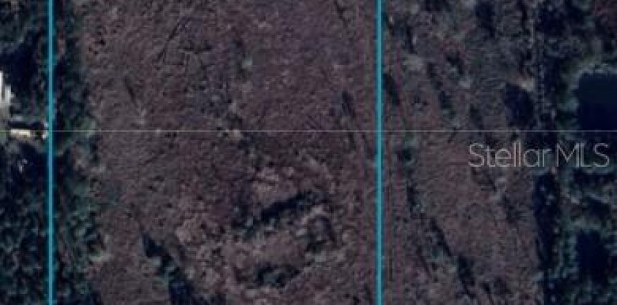 Land in Citra, Florida № 1869303