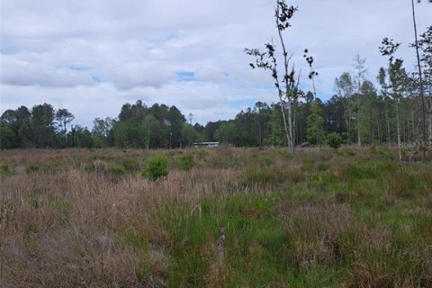 Land in Citra, Florida № 1869303 - photo 3