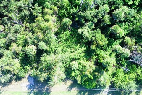 Land in Rotonda, Florida № 2162474 - photo 4