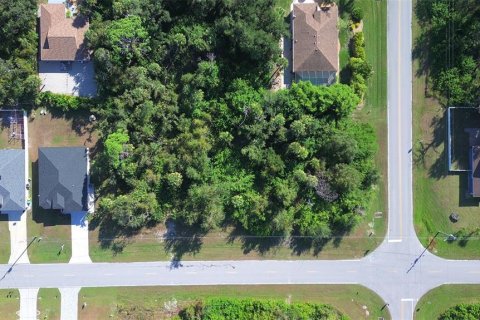 Land in Rotonda, Florida № 2162474 - photo 8