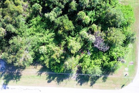 Land in Rotonda, Florida № 2162474 - photo 6
