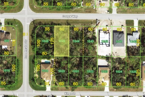 Land in Rotonda, Florida № 2162474 - photo 5