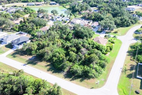 Land in Rotonda, Florida № 2162474 - photo 3