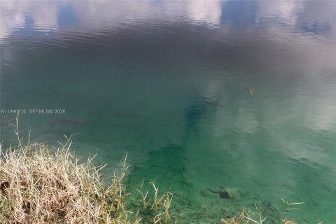 Villa ou maison à vendre à Southwest Ranches, Floride: 6 chambres, 338.44 m2 № 2064387 - photo 7