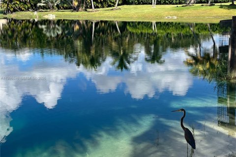 Villa ou maison à vendre à Southwest Ranches, Floride: 6 chambres, 338.44 m2 № 2064387 - photo 4