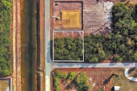 Land in Lehigh Acres, Florida № 2164297 - photo 2