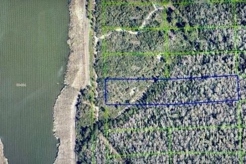 Terreno en venta en Orlando, Florida № 2165564 - foto 1