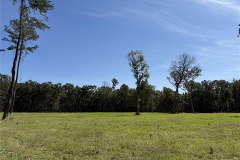 Land in Micanopy, Florida № 2104156 - photo 11