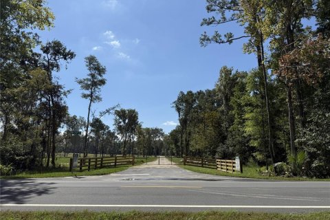 Land in Micanopy, Florida № 2104156 - photo 9