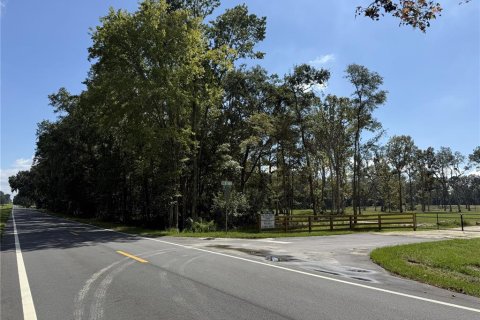 Land in Micanopy, Florida № 2104156 - photo 10