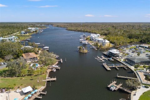 Condo à Homosassa, Floride, 2 chambres  № 2398940