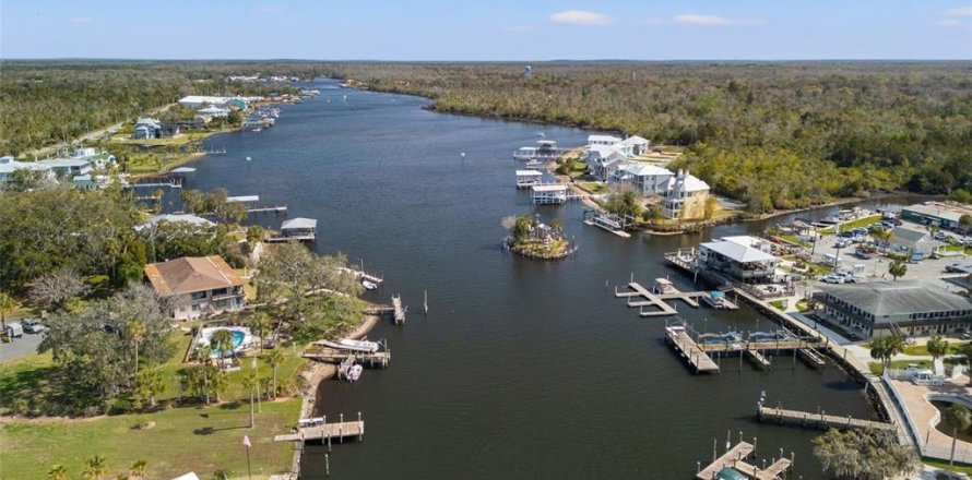 Condo à Homosassa, Floride, 2 chambres  № 2398940