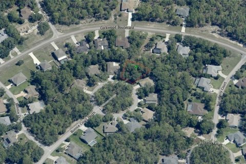 Land in Homosassa, Florida № 2213765 - photo 3