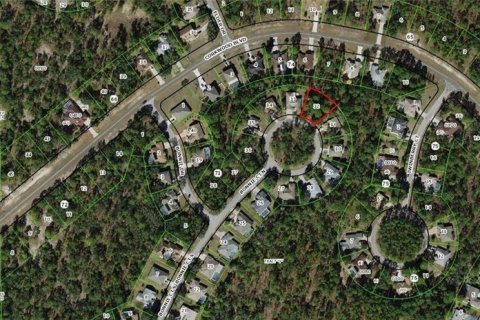 Land in Homosassa, Florida № 2213765 - photo 2