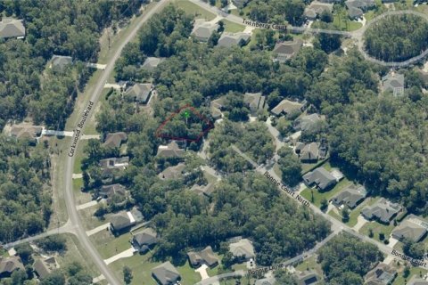 Land in Homosassa, Florida № 2213765 - photo 4