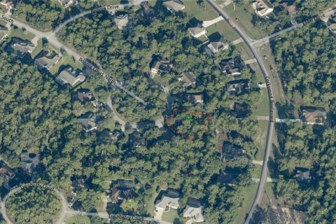 Land in Homosassa, Florida № 2213765 - photo 6