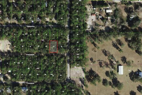 Land in Crystal River, Florida № 2162483 - photo 2