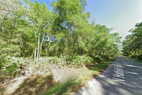 Land in Crystal River, Florida № 2162483 - photo 3