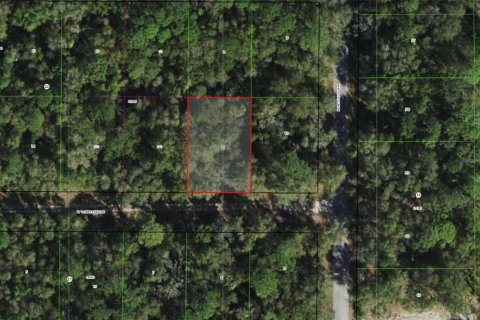 Land in Crystal River, Florida № 2162483