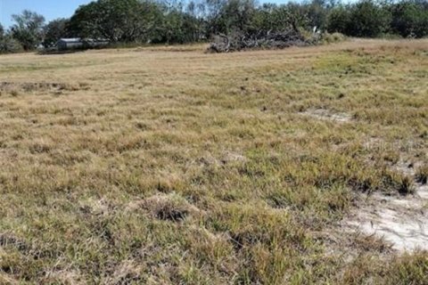 Terreno en venta en Fort Meade, Florida № 1744933 - foto 6